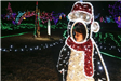 Kid in a Photo-Stand-in Light Display of a Penguin