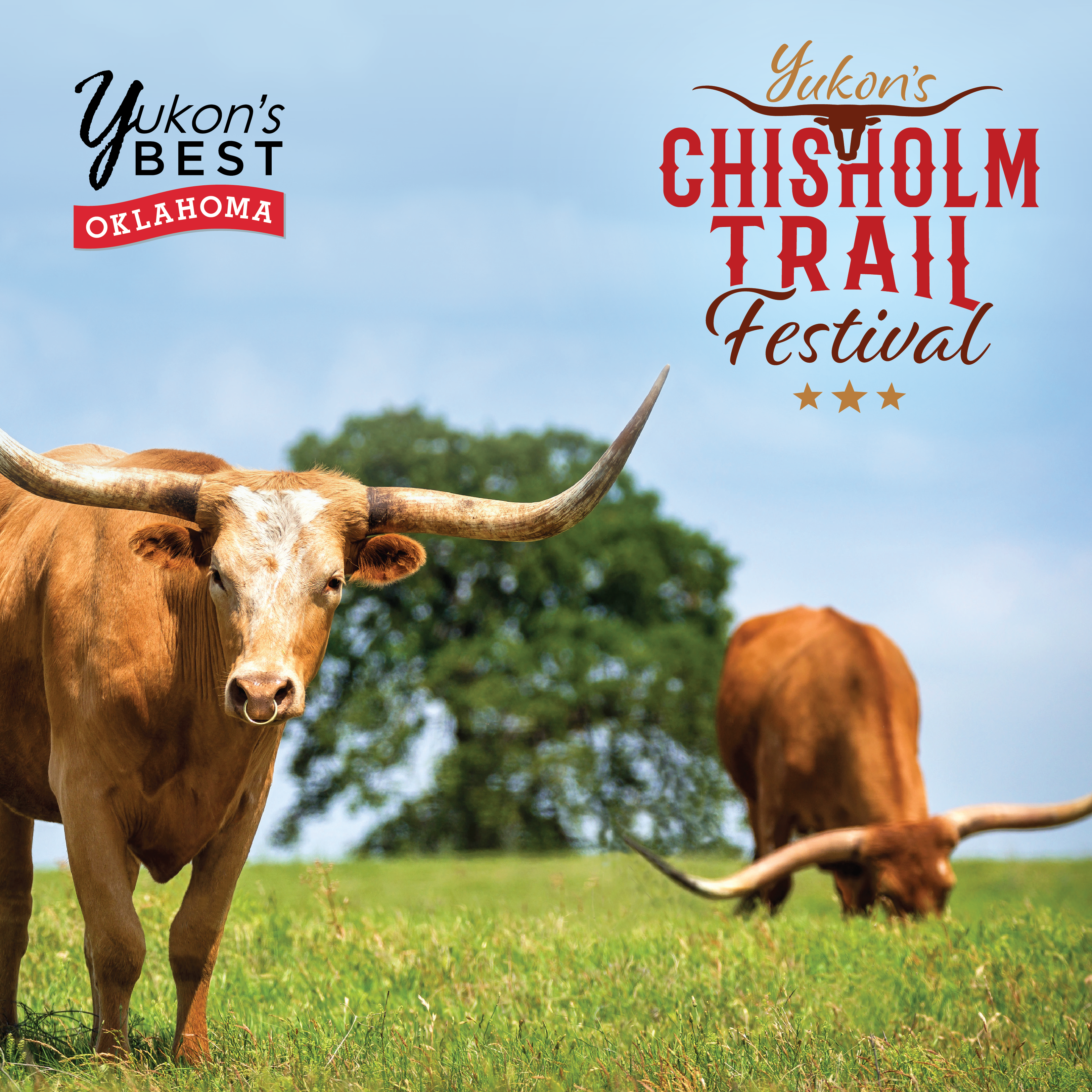 Longhorn in field with Yukon's Chisholm Trail Festival Logo and City Logo