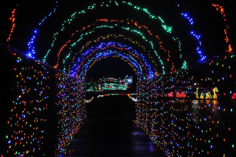 Looking Through a Tunnel of Lights