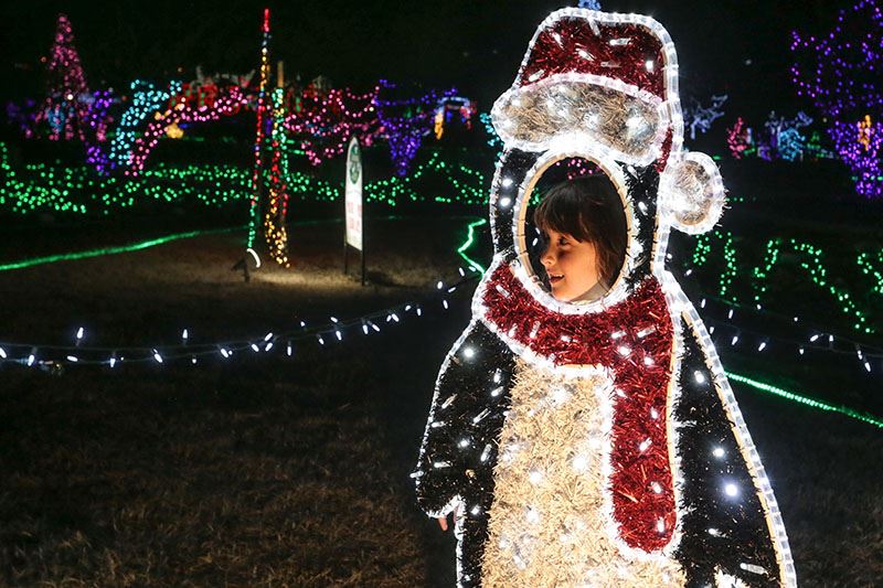Kid in a Photo-Stand-in Light Display of a Penguin