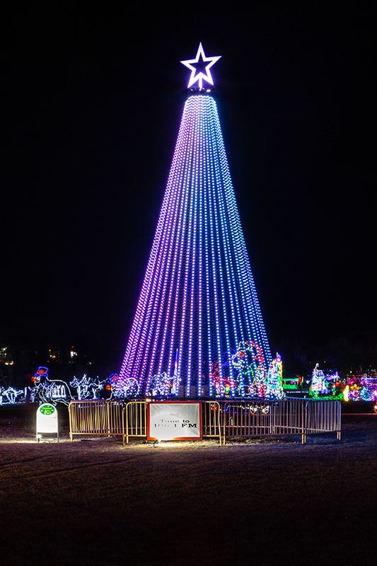 Central Christmas Tree of Lights